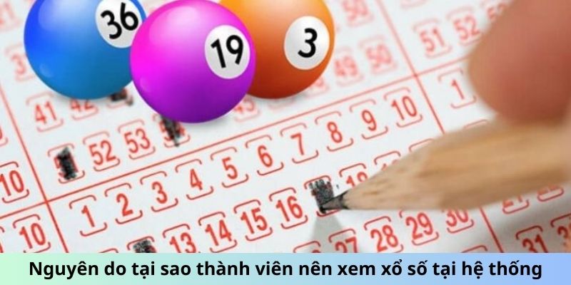 Soi Cầu 568 - Mở Khóa Bí Mật Số Học Để Chiến Thắng Lô Đề 5 Nguyên do tại sao thành viên nên xem xổ số tại hệ thống