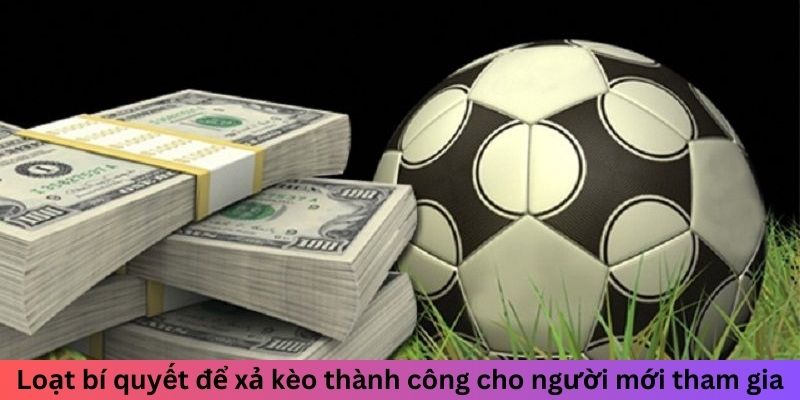 Xả Kèo Là Gì? Hiểu Rõ Để Tối Ưu Hóa Lợi Nhuận Khi Cược 6 Loạt bí quyết để xả kèo thành công cho người mới tham gia